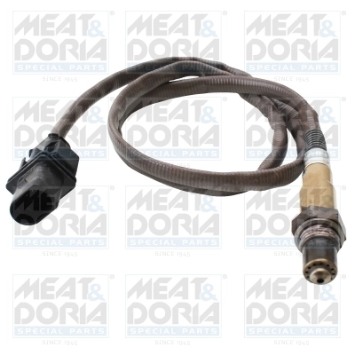 Oxygen Sensor